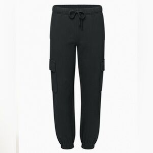 BABATON Aritzia Cargo pants. Worn once. Never washed or tumble dried.